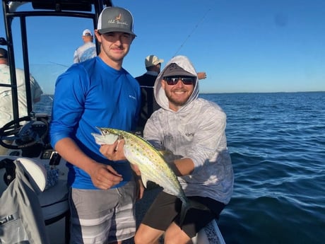 Spanish Mackerel Fishing in Sarasota, Florida