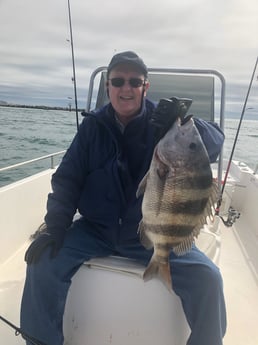 Sheepshead fishing in Orange Beach, Alabama