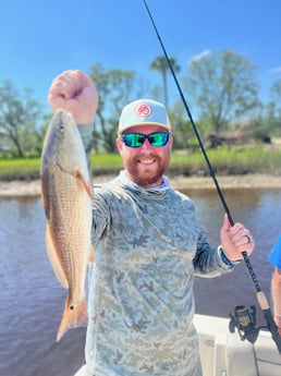 Redfish Fishing in Mount Pleasant, South Carolina