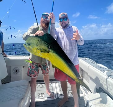 Mahi Mahi Fishing in Port Aransas, Texas