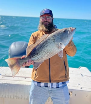 Gag Grouper fishing in Clearwater, Florida