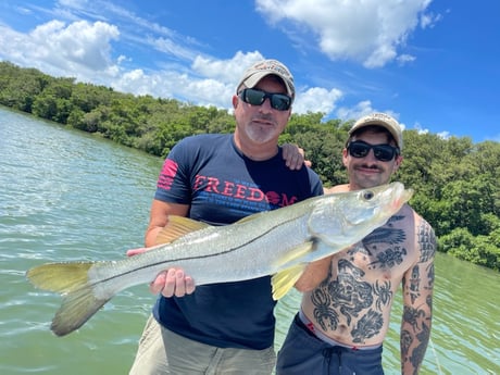 Snook fishing in Clearwater, Florida