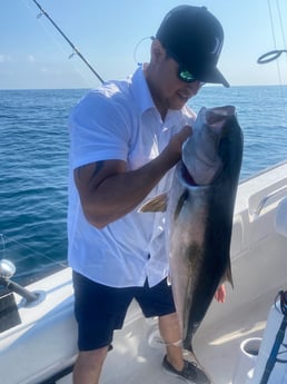 Amberjack Fishing in Destin, Florida