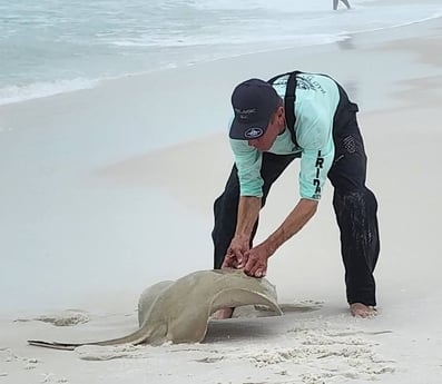 Stingray Fishing in Destin, Florida