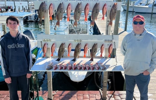 Red Snapper, Scamp Grouper Fishing in Destin, Florida