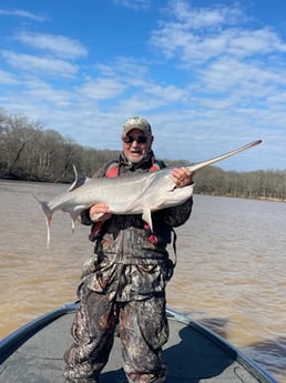 Fishing in Oxford, Mississippi