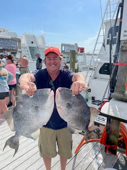 Wahoo fishing in Destin, Florida