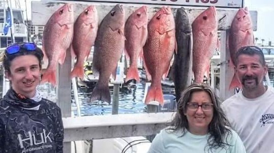 Cobia, Mangrove Snapper, Red Snapper fishing in Destin, Florida