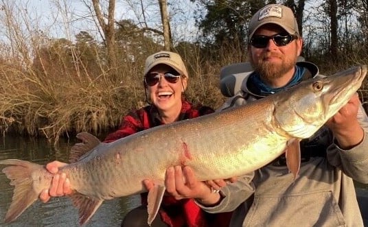 Alligator Gar fishing in Knoxville, Tennessee