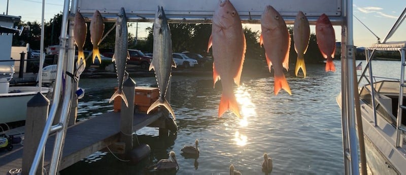 King Mackerel / Kingfish, Red Snapper, Yellowtail Snapper fishing in Marathon, Florida