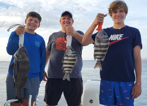 Black Drum, Sheepshead fishing in Mount Pleasant, South Carolina