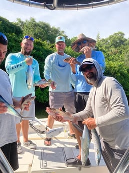 Mangrove Snapper, Spanish Mackerel fishing in St. Petersburg, Florida