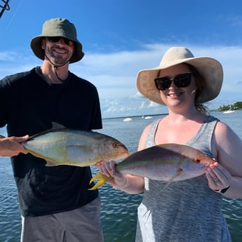 Yellowtail Amberjack, Yellowtail Snapper fishing in Key Largo, Florida