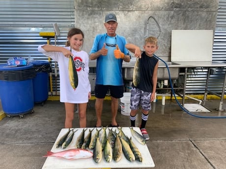 Mahi Mahi / Dorado fishing in Destin, Florida