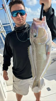 Tilefish Fishing in Key West, Florida