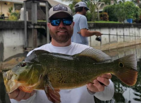 Peacock Bass fishing in Delray Beach, Florida