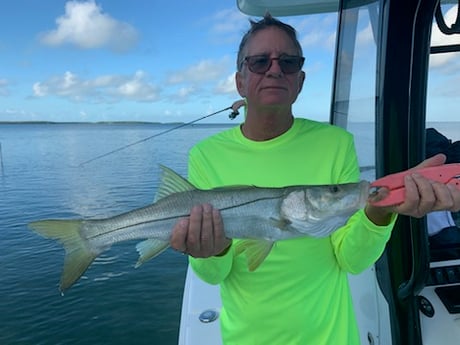 Snook Fishing in Key Largo, Florida