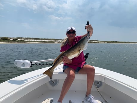 Fishing in Orange Beach, Alabama