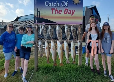 Black Drum, Redfish fishing in Rockport, Texas