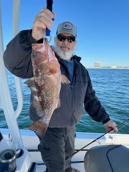 Fishing in Panama City, Florida