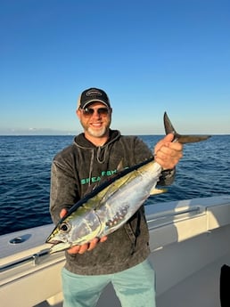 Blackfin Tuna Fishing in Islamorada, Florida