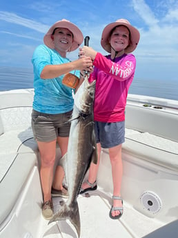 Cobia fishing in St. Augustine, Florida