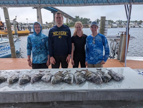 Sheepshead Fishing in Pensacola, Florida