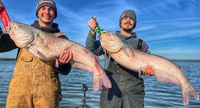 Blue Catfish Fishing in Dallas, Texas