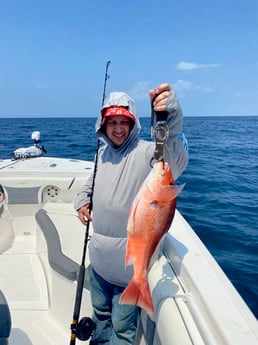 Red Snapper Fishing in Pensacola, Florida