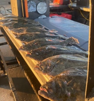 Flounder fishing in Galveston, Texas