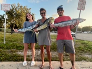 Blackfin Tuna fishing in Pompano Beach, Florida