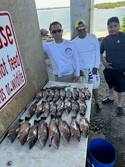 Fishing in Port Orange, Florida