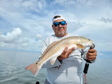 Redfish Fishing in Rio Hondo, Texas