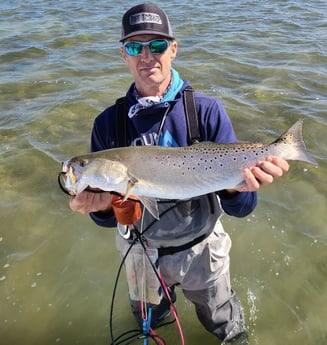 Speckled Trout / Spotted Seatrout fishing in Port O&#039;Connor, Texas