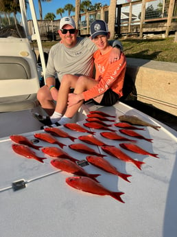 Vermillion Snapper Fishing in Panama City, Florida