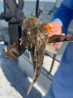 Fishing in Matagorda, Texas