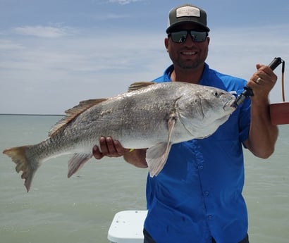 Black Drum fishing in South Padre Island, Texas