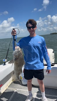 Black Drum Fishing in Galveston, Texas