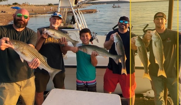 Hybrid Striped Bass, Striped Bass fishing in Burnet, Texas