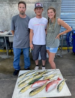 Mahi Mahi / Dorado, Red Snapper fishing in Destin, Florida