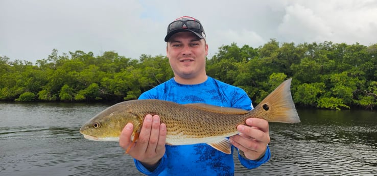 Fishing in Naples, Florida