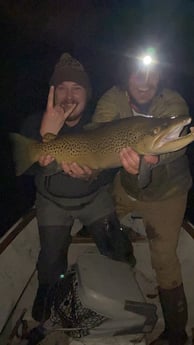 Brown Trout fishing in Leicester, North Carolina