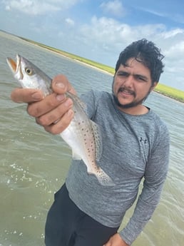 Speckled Trout Fishing in Galveston, Texas