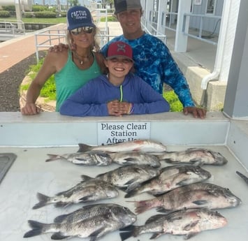 Sheepshead fishing in Galveston, Texas