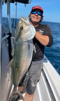 Amberjack fishing in Clearwater, Florida