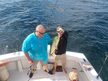 Mahi Mahi / Dorado fishing in Orange Beach, Alabama