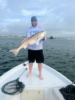 Redfish Fishing in Orange Beach, Alabama