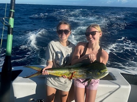 Mahi Mahi Fishing in Miami, Florida