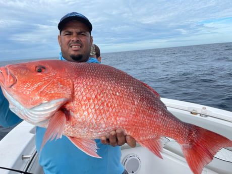 Red Snapper fishing in St. Augustine, Florida