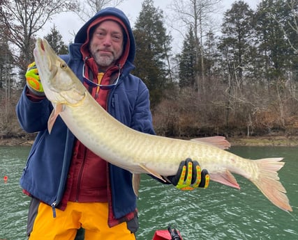 Muskie fishing in Knoxville, Tennessee